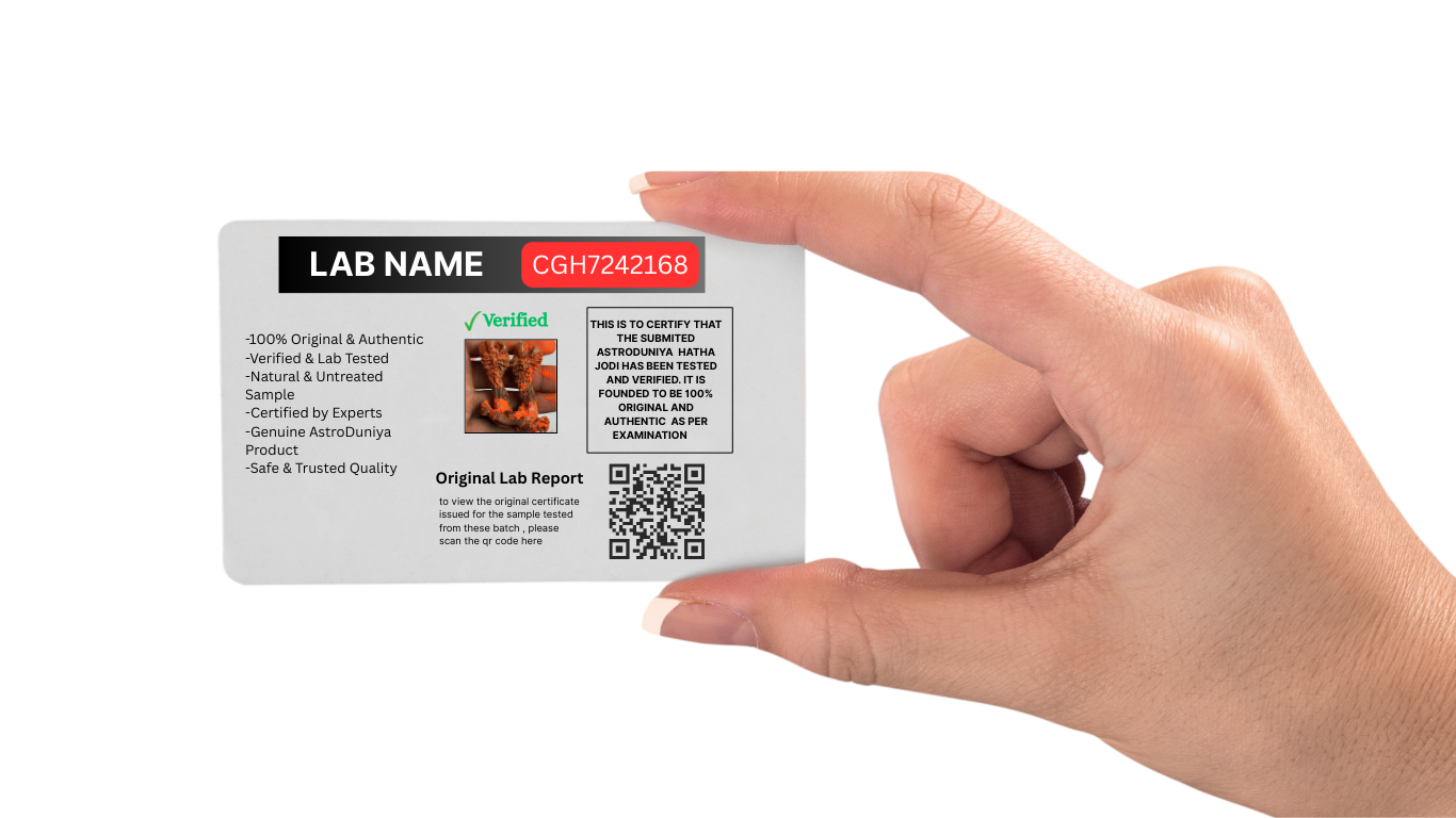 Energized Mantra Siddhi Hatha Jodi Yantra– Symbol of Strength & Victory