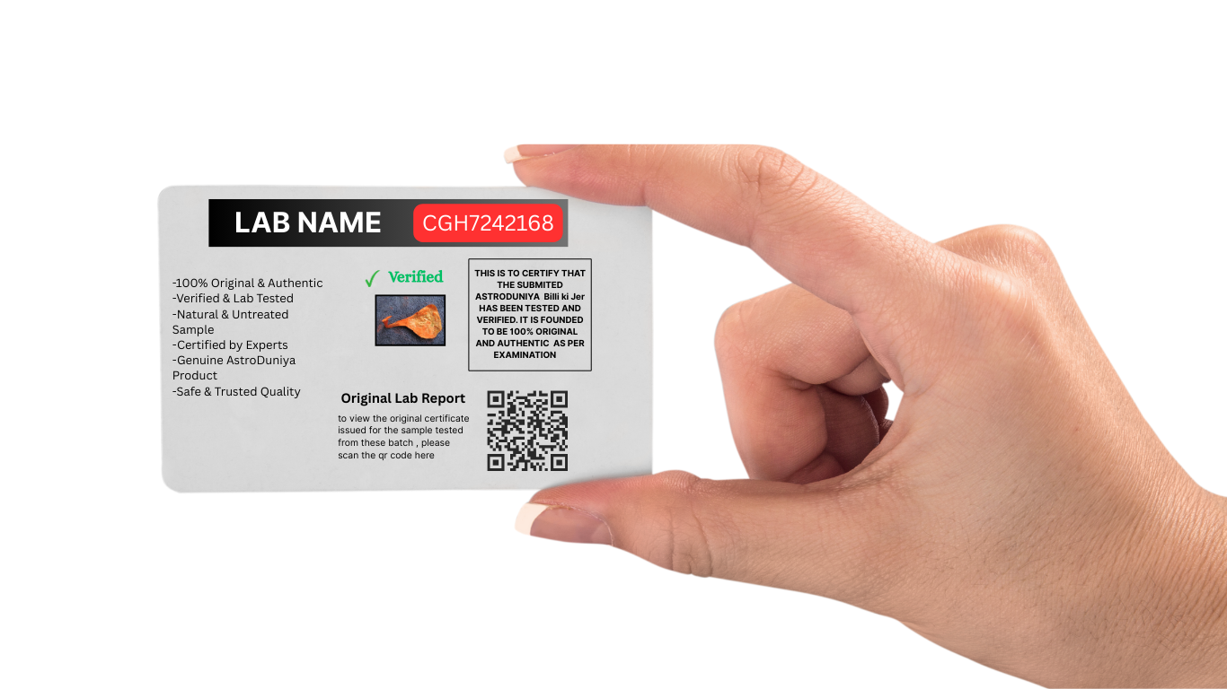 Energized Mantra Siddhi Billi ki Jer